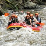 Best Bali Rafting Adventure on Ayung River White Water Ubud - The Bottom Line: Who Should and Shouldn’t Book This Experience