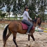 Best Horse Riding Safari Tour from Bangalore - Why This Tour Offers Good Value