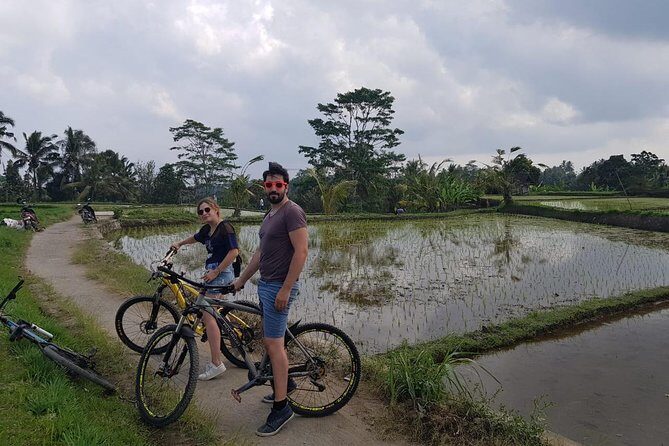 Best Kintamani - Ubud Bali Bicycle Tours - What Reviewers Say