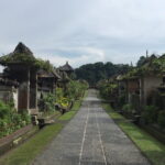 Best of Bali Private Shore Excursions - What Makes This Tour Valuable