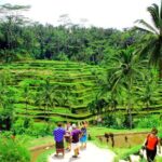 Best of Bali Tour - All Inclusive - The Experience from Traveler Feedback