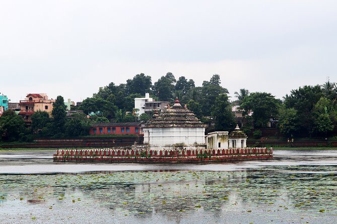 Best of Bhubaneswar (Guided Halfday Sightseeing Tour by Car) - Ease of Planning and Comfort