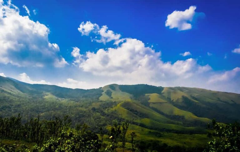 Best of Chikmagalur: Guided Day Trip from Mysore in Car - Waterfalls and Forests