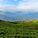 Best of Kurseong: Guided Half-Day Tour with Hotel Pickup - Discovering Kurseong in Four Hours