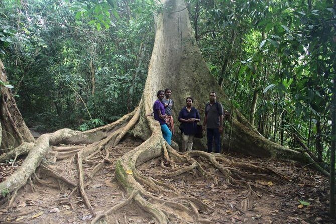 Best of Malaysia 10 Days - Who is this tour best suited for?