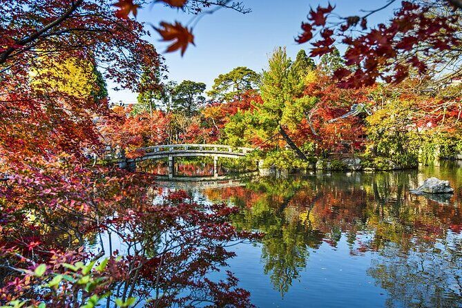 Best of Tokyo City Highlights Guided Tour - Practical Details and Considerations