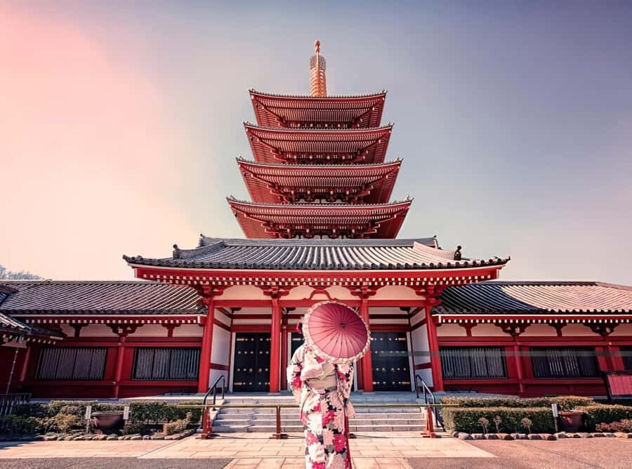 Best of Tokyo: Guided Half Day City Tour with a local - What Makes This Tour Stand Out?