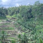 Best of Ubud & Mount Batur Volcano Private Bali Tour - An In-Depth Look at the Tour Itinerary