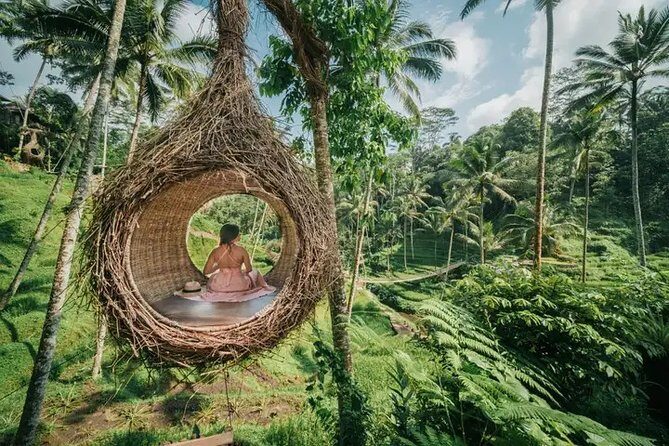 Best of Ubud: Private All-Inclusive Tour with Jungle Swing - Practical Details & Considerations