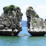 Best Premium Halong Bay Cruise from Halong International Port - What Travelers Say About the Guide and Service