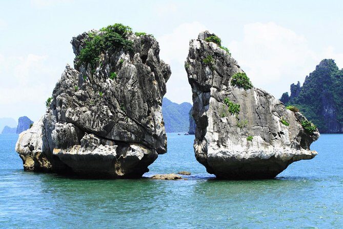 Best Premium Halong Bay Cruise from Halong International Port - What Travelers Say About the Guide and Service