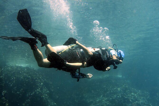 Best Scuba Diving Koh Tao Top Sites from Koh Samui - Additional Details and Practical Considerations