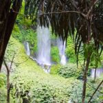 Best Sendang Gile and Tiu Kelep Waterfalls Tour - Is It Worth the Price?