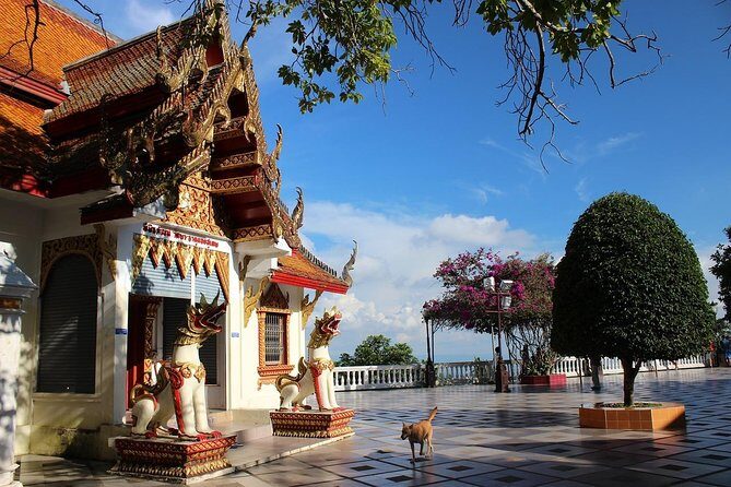 Best Six Chiang Mai Temple Tour + Doi Suthep Including Lunch (Minimum 2 pax) - A Detailed Look at the Temple Tour Experience