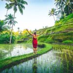 Best Ubud Jungle Swing Experience - All Inclusive Tour - An Overview of the Tour Experience
