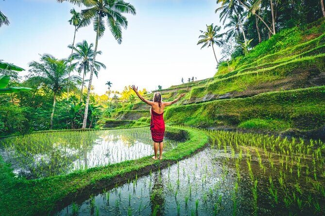 Best Ubud Jungle Swing Experience - All Inclusive Tour - An Overview of the Tour Experience