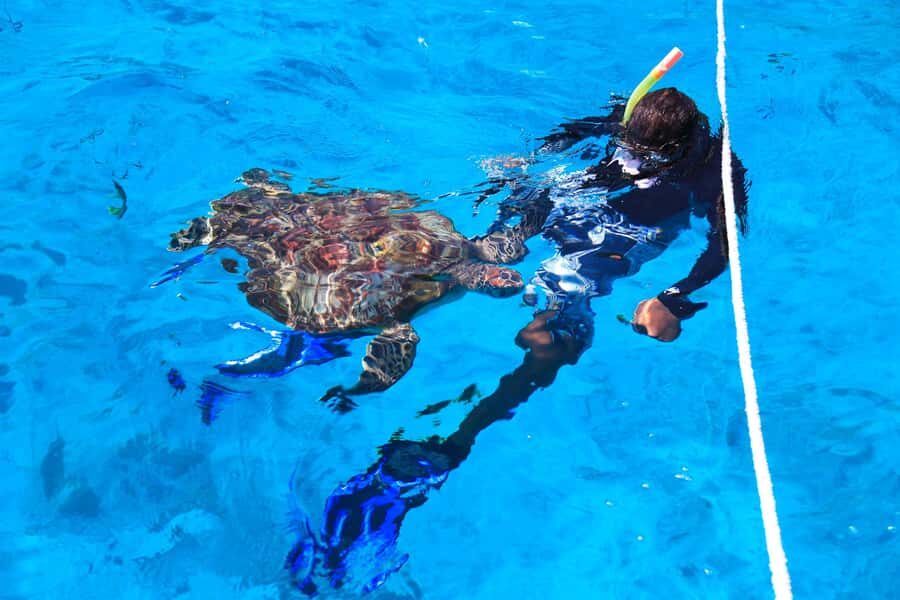 Beyond Krabi: Your Grand Escape to Similan's Marine Paradise - What Sets This Tour Apart