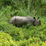 Bharatpur: 20000 Lake Guided Tour by Guide in Bicycle - Why This Tour Offers Great Value