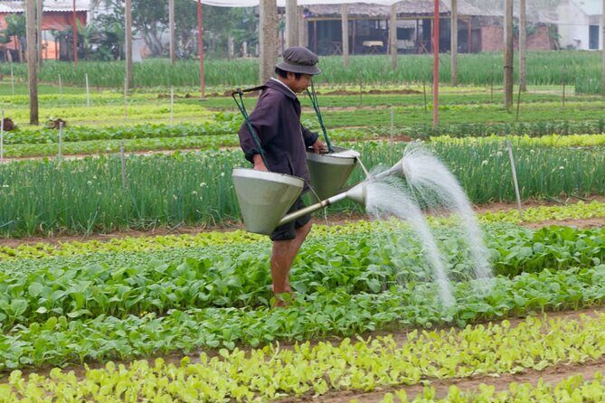 Bicycle experience countryside & cooking class in Hoi An - Practical Details & What to Expect