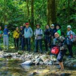 Bidoup to Ta Giang: Highland Trekking Escape - Authentic Experience Based on Feedback