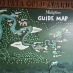 Bintan Island : Mangrove Or Fireflies Tour - Detailed Itinerary Breakdown