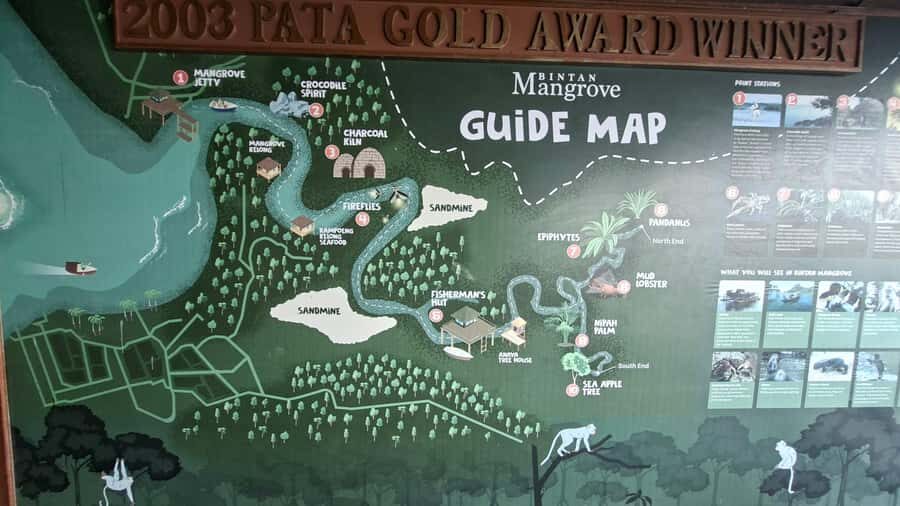 Bintan Island : Mangrove Or Fireflies Tour - Detailed Itinerary Breakdown