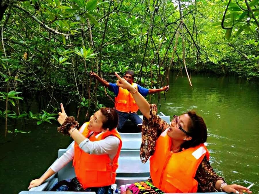 Bintan: Mangrove Discovery Boat Tour - Why This Tour Offers Good Value