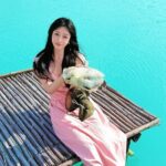 Bintan Sand Dunes & Blue Lakes Tour with Lunch & Mangrove Tour - The Mangrove River & Fireflies Experience