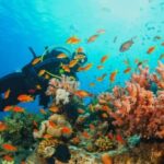 Bintan: Snorkeling, Kayaking, and Fishing Tour - What to Know Before You Go