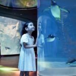 Bird Paradise Singapore Tickets - Is It Worth the Price?