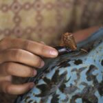 Birds Parks and Batik Art - Practicalities: What to Expect