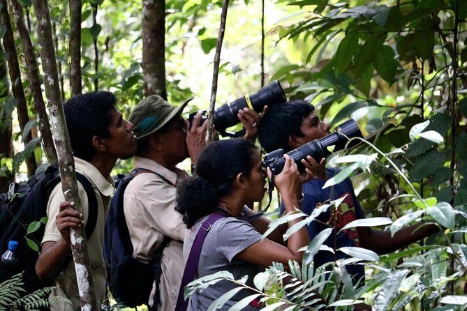 Birdwatching from Sinharaja Rainforest - How This Tour Adds Value