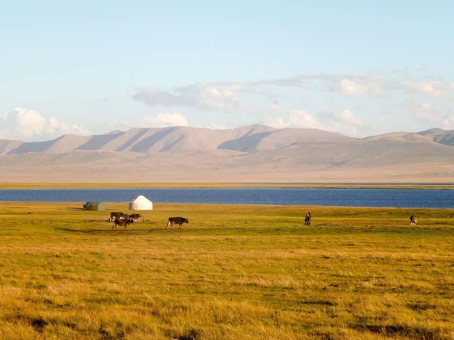 Bishkek: 2-Day Adventure tour to Song-Kol Lake - Transportation, Group Size, and Price Value