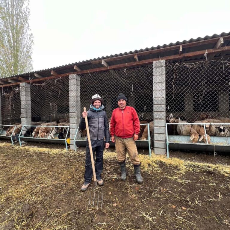 Bishkek: Horseback Ride & Shepherds Farm Cooking Experience - Visiting a Shepherd’s Farm: Living the Nomad Life