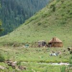 Bishkek: Shamsi Gorge Day Trip - Why Choose the Bishkek: Shamsi Gorge Day Trip?