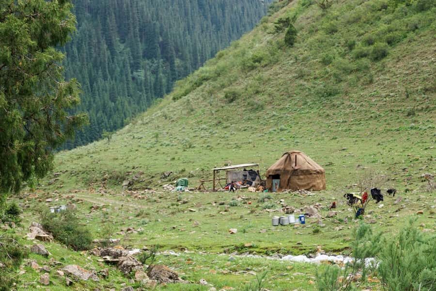 Bishkek: Shamsi Gorge Day Trip - Why Choose the Bishkek: Shamsi Gorge Day Trip?