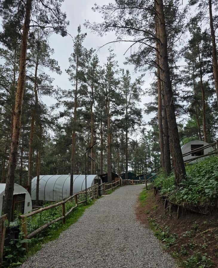 Bishkek to Chunkurchak: Sky Bridge, Horse Riding and Picnic - Practicalities and What to Expect