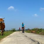 Bites by Bike a Hoi An Food Tour - An In-Depth Look at the Tour Experience