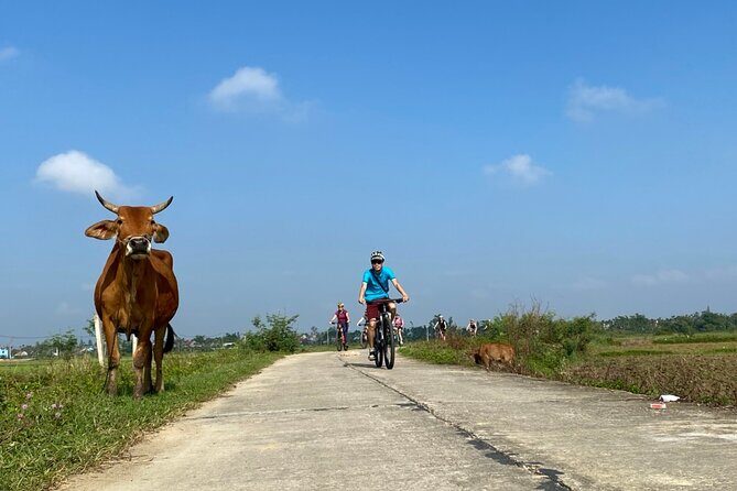 Bites by Bike a Hoi An Food Tour - An In-Depth Look at the Tour Experience