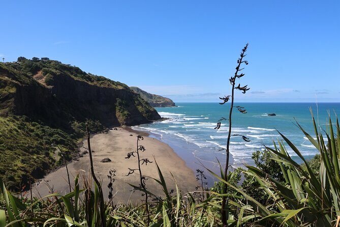 Black Sand Beaches & Birds Auckland Sightseeing Tour - Practical Insights for Travelers