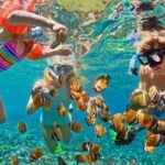 Blue lagoon Private Snorkeling Adventure Bali - The Value and Why It’s Worth Considering