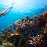 Blue lagoon Snorkeling Tour with Lunch & Private Transfers - Why This Tour Works Well