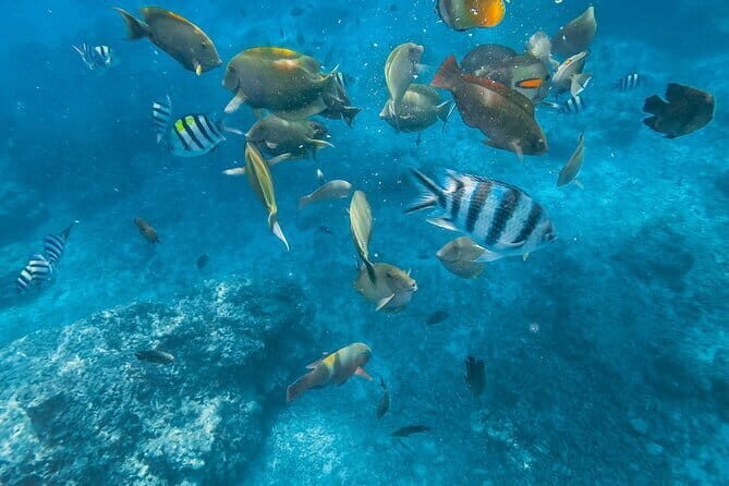 Blue Lagoon & Tanjung Jepun snorkeling with Kanto Lampo WaterFall and Monkey bar - Why This Tour Offers Good Value