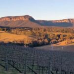 Blue Mountains: Megalong Valley Wine Tasting & Lunch - Practical Details and Tips
