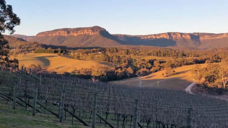 Blue Mountains: Megalong Valley Wine Tasting & Lunch - Practical Details and Tips