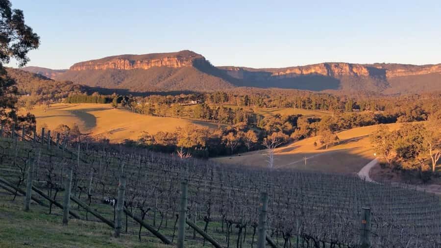 Blue Mountains: Megalong Valley Wine Tasting & Lunch - Practical Details and Tips