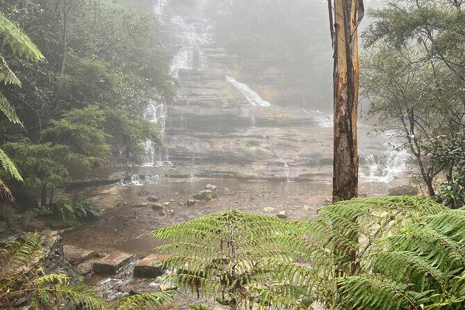 Blue Mountains Private Group Day Tour from Sydney - The Authentic Experiences That Set This Tour Apart