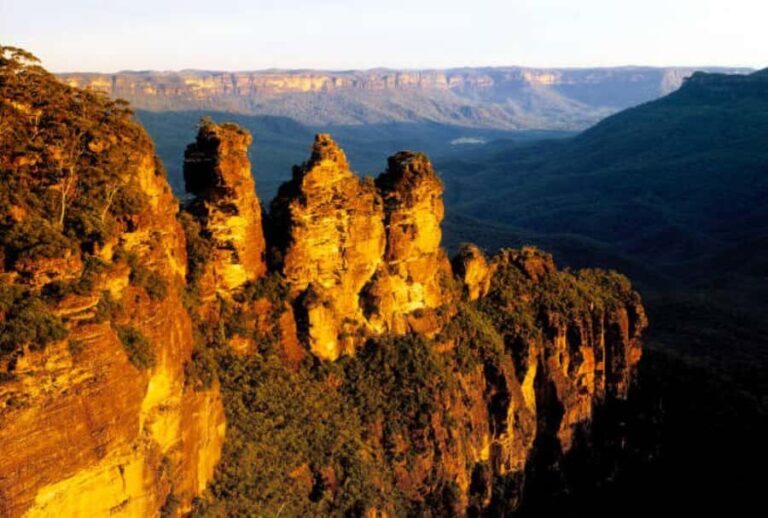 Blue Mountains, Zig Zag Railway and Botanical Gardens Tour - Practicalities and Value
