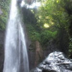 Bogor City Full-Day Private Tour from Jakarta with Pick Up - Who Is This Tour Best Suited For?