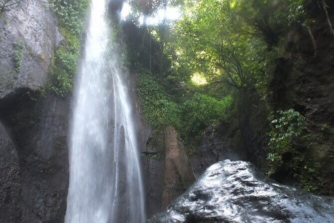 Bogor City Full-Day Private Tour from Jakarta with Pick Up - Who Is This Tour Best Suited For?